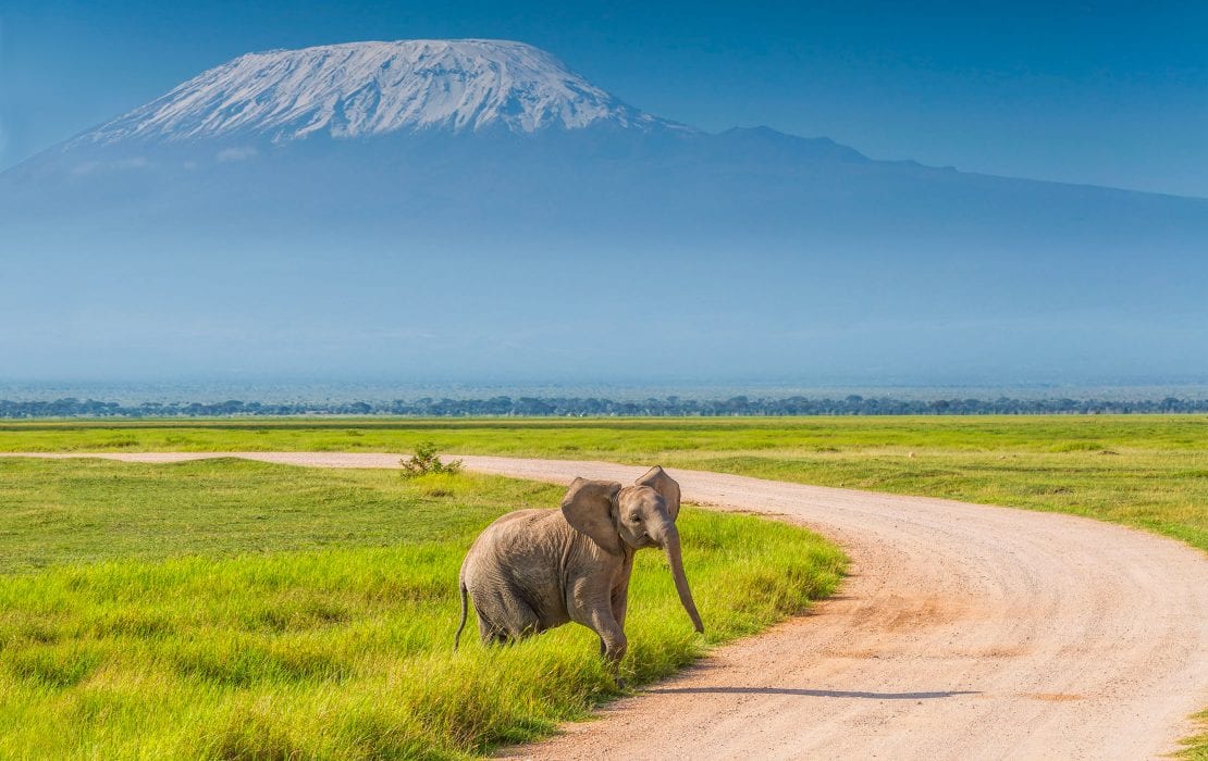Amboseli Special